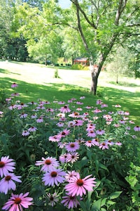 Luxurious romantic Blue Ridge Mountain retreat w/creek/pond/hiking/fishing