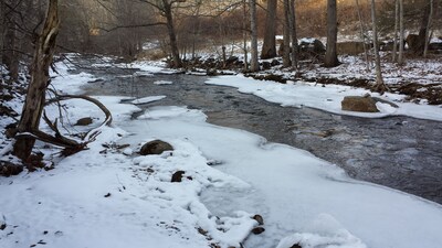 Luxurious romantic Blue Ridge Mountain retreat w/creek/pond/hiking/fishing