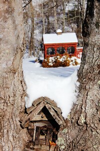 Luxurious romantic Blue Ridge Mountain retreat w/creek/pond/hiking/fishing