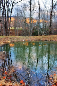 Luxurious romantic Blue Ridge Mountain retreat w/creek/pond/hiking/fishing