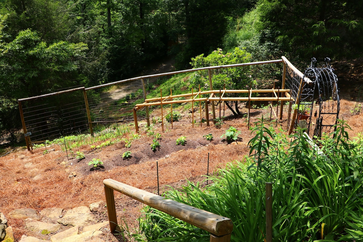 Mountain Getaway For Couples! 17 miles to Asheville, Pet Friendly, Hot Tub