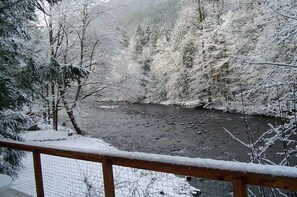 A beautiful view from the deck - all 4 seasons. Winter wonderland here.