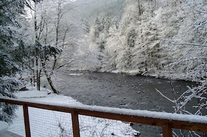 A beautiful view from the deck - all 4 seasons. Winter wonderland here.