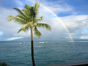 Morning Rainbow