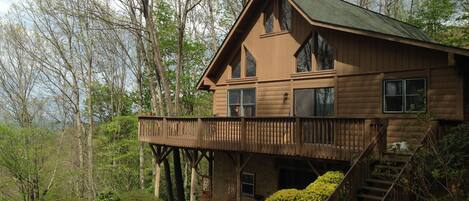 Top of the Line Asheville Mountain Cabin.