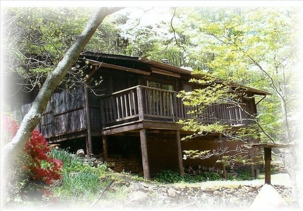Spring at Old Rag Cabin