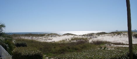 Vue sur la plage ou l’océan