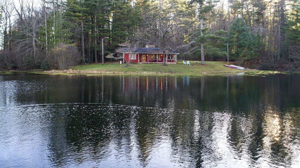 Main Image