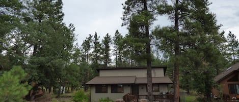 Street View with large trees on lot