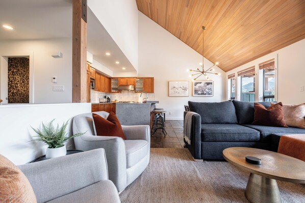 Living Room w/sofa bed.  