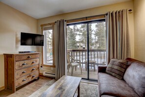 Living room with Murphy bed up creates a spacious room during the day.