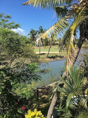View from room