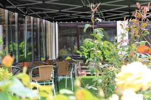 Terras