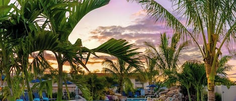 Piscine extérieure