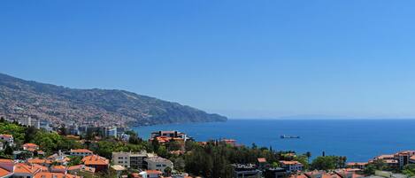 Beach/ocean view