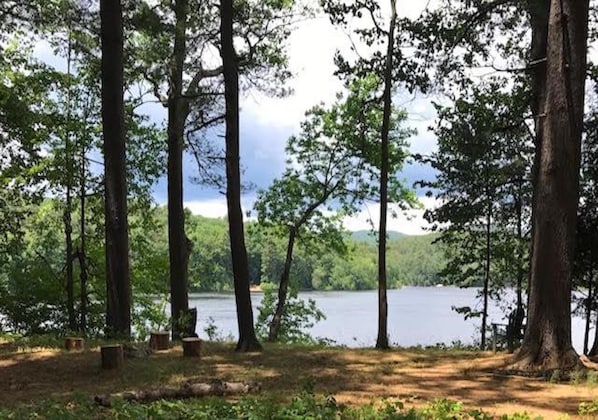 Lake view