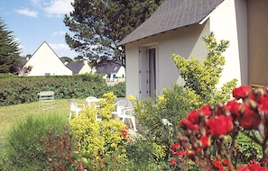 Trädgård