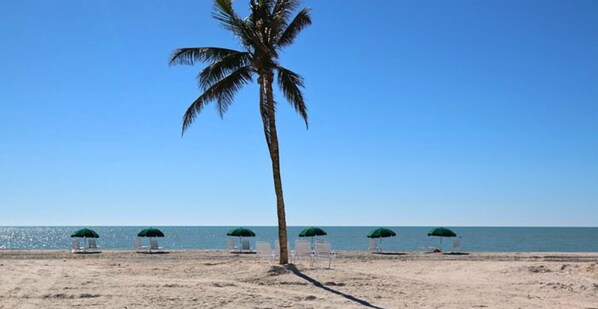 Beach/ocean view