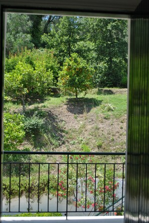 View from room