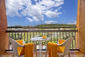 Vista dalla camera