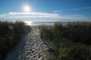 Strand