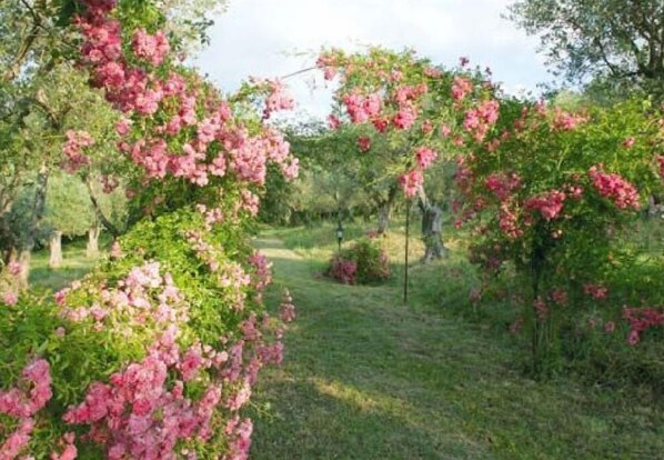 Jardin
