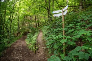 Hiking