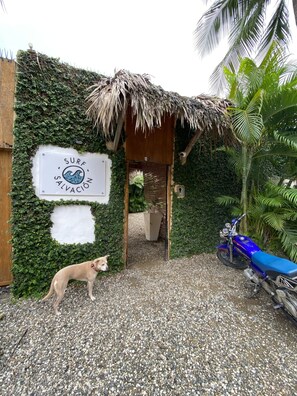 Property entrance