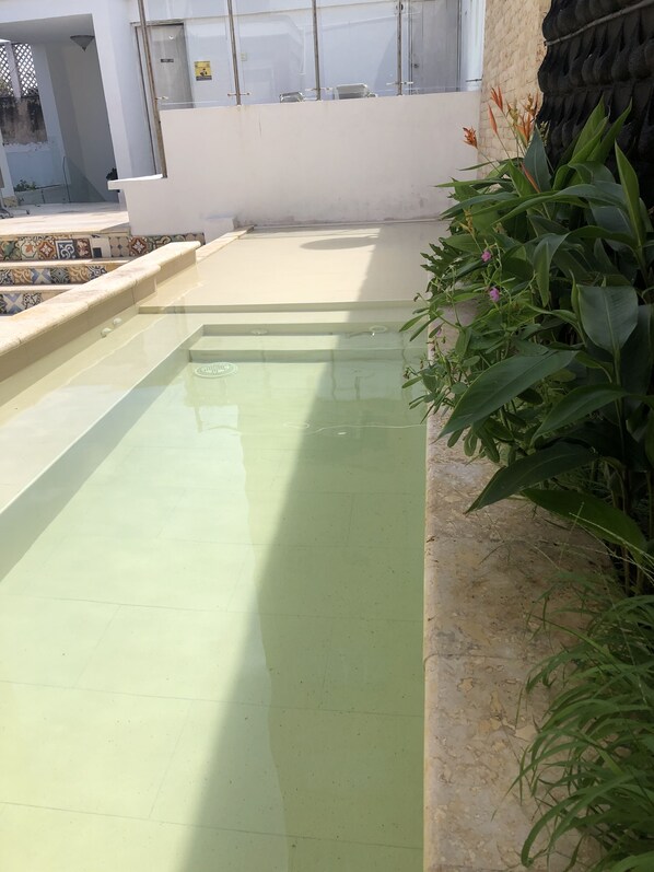 Terraza o patio