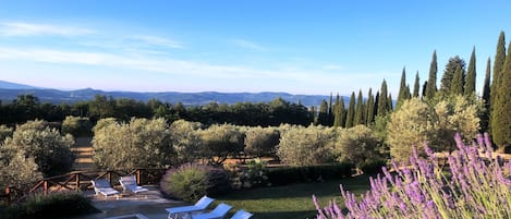 pool and view