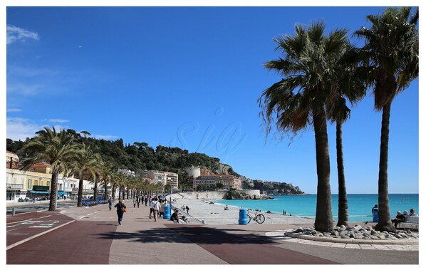 50 meters from the apartment