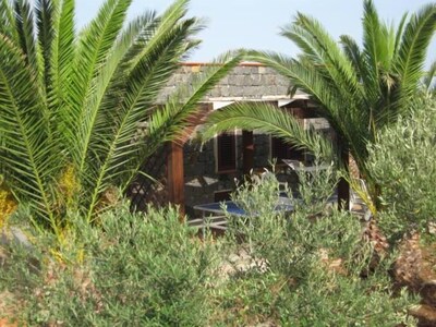 Hose of the palm trees, 5000 sq.m of garden, and there is a vegetable garden ava