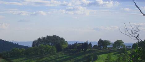 Farmhouse view towards Arno valley