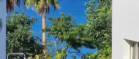 A "nest" by the Sea ☀️ view from balcony