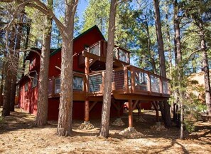 Double Decker Deck! Literally built into the forest and between the trees.