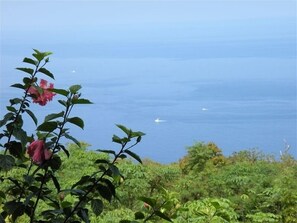 星評価なしの画像、2 / 23、ボタン