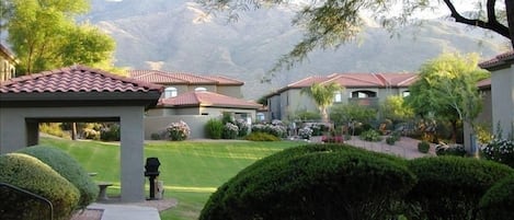 View looking at the Catalinas