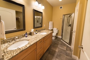 Master Bedroom bathroom