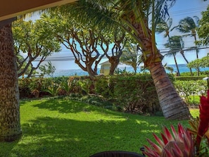 View from bottom lanai including private grassed area