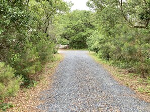 Down the hidden path - your beach getaway.