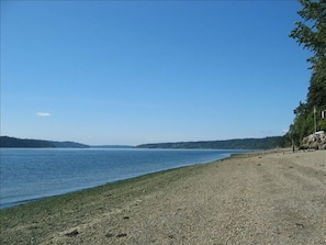 Go fishin' for salmons and soles in cabin's backyard, view to the right.