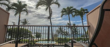 View from upper lanai