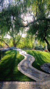 Hidden OASIS in the Malibu Wine Trail.....