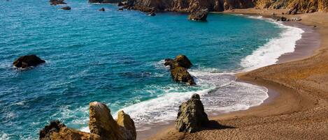 15 minutes to the wild and breath-taking Sonoma coast and beaches