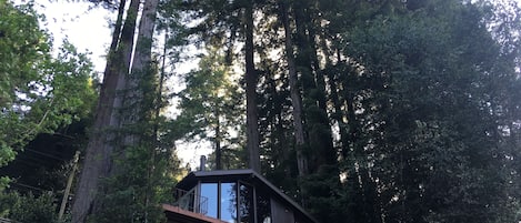 Scenic view from river: House, upper and lower decks framed by towering redwoods