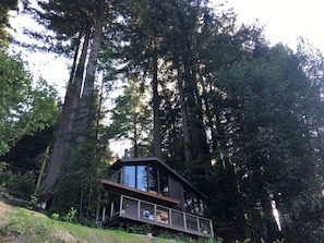 Scenic view from river: House, upper and lower decks framed by towering redwoods