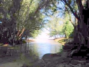 Beautiful Anini Creek