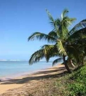Playa