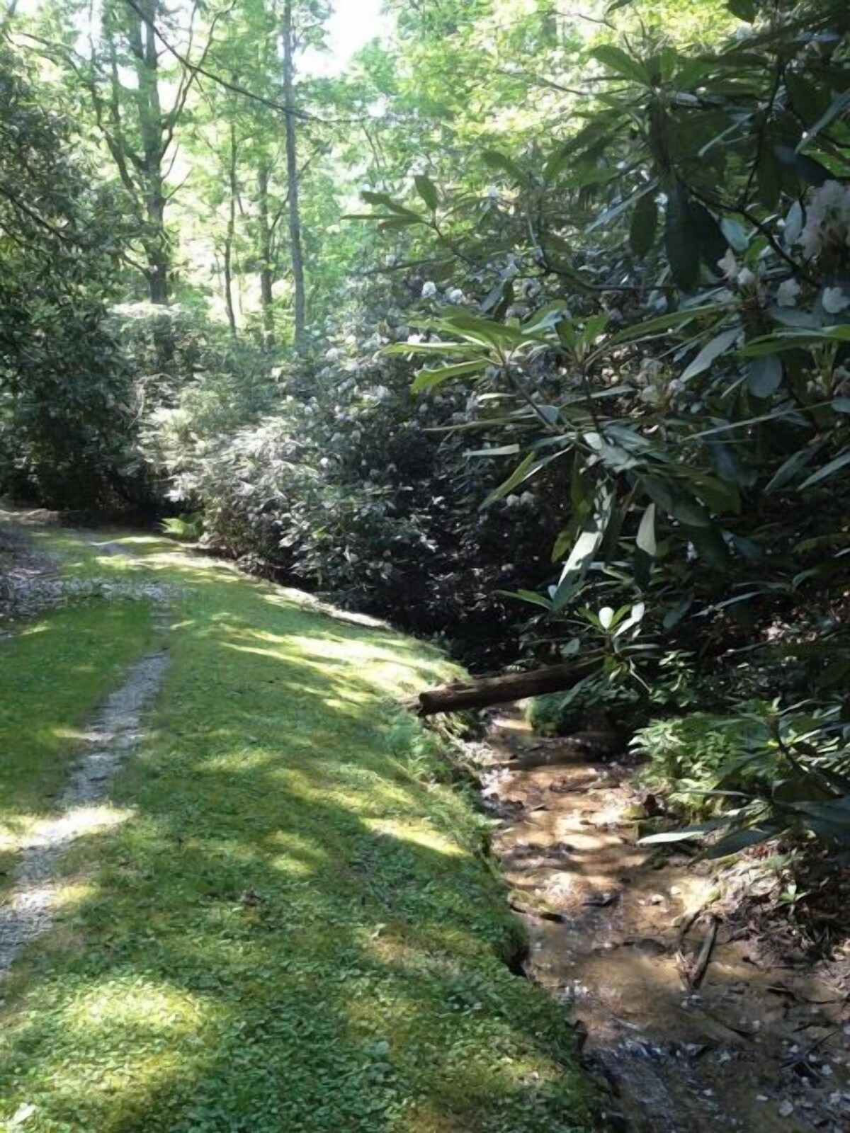 Private Home on Former Summer Camp w/Trout Pond, Fields & More