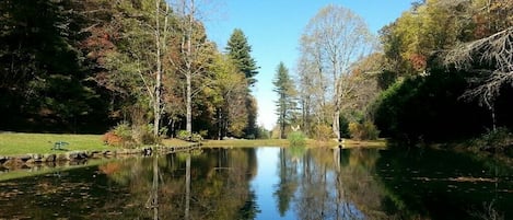 Take in this view while relaxing on the deck of the garage/entertainment outbldg